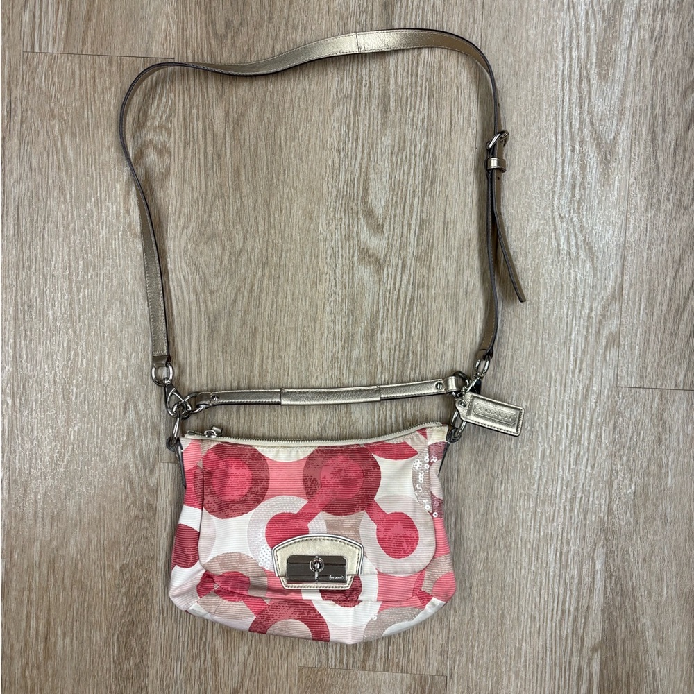 Coach 2009 Kristin Hobo Bag